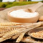 US Brazil Tariffs Impact 25% Duty on Imports Begins July 22