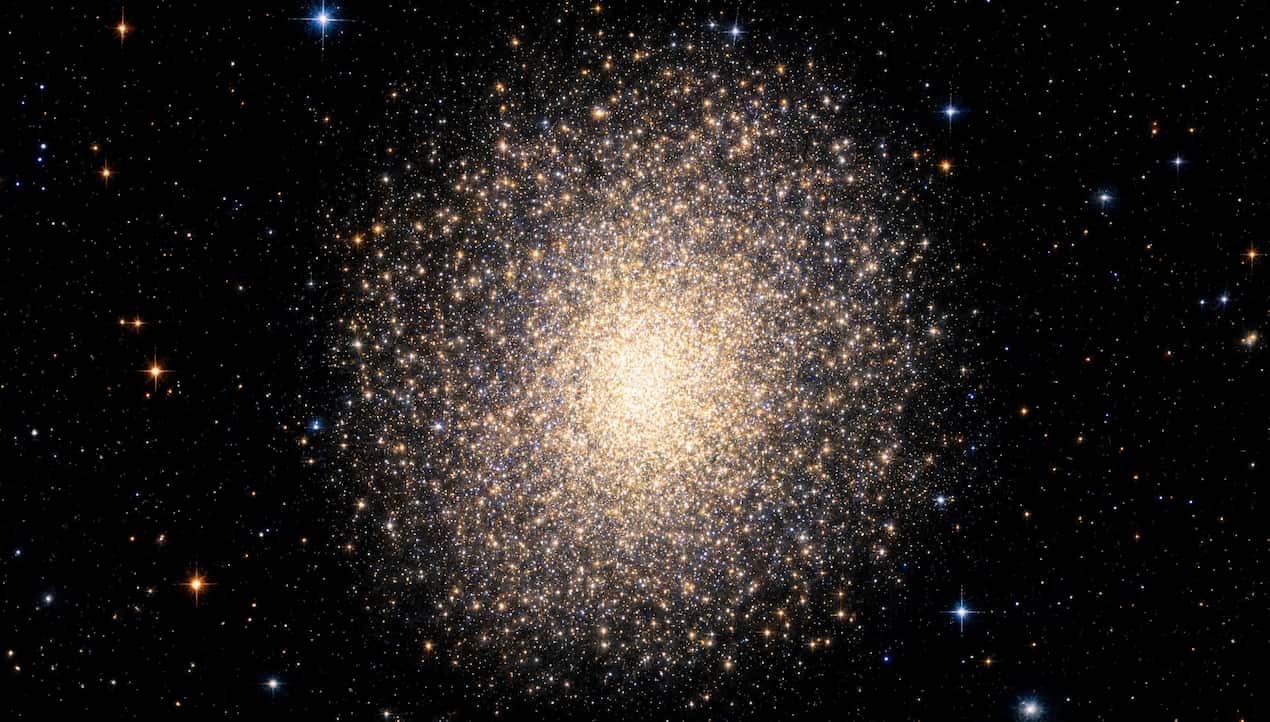 H00821